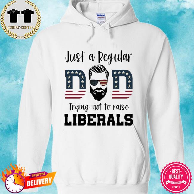 Just a regular dad trying not to raise liberals American flag s hoodie