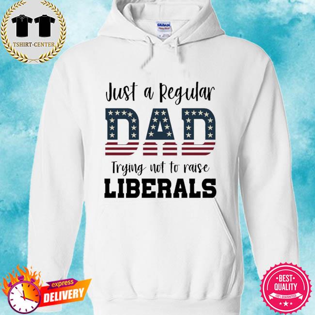 Just a regular dad trying not to raise liberals American flag t-s hoodie
