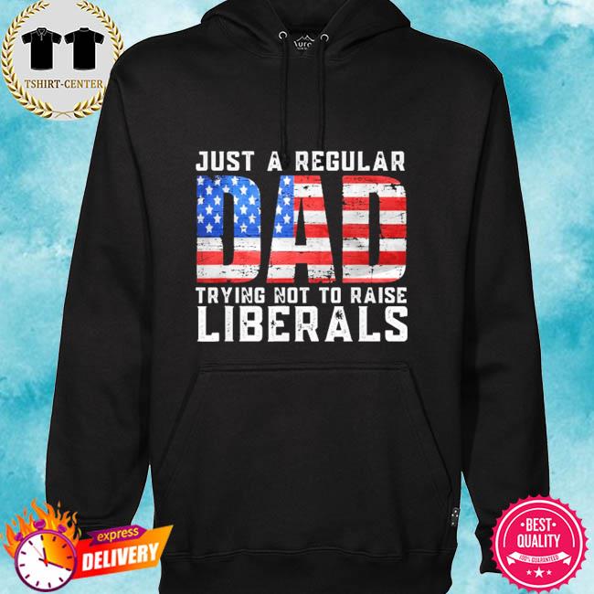 Just a regular dad trying not to raise liberals s hoodie