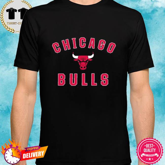 Chicago Bulls Merch Logo Shirt