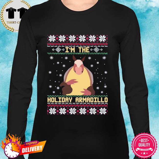 friends holiday armadillo sweater